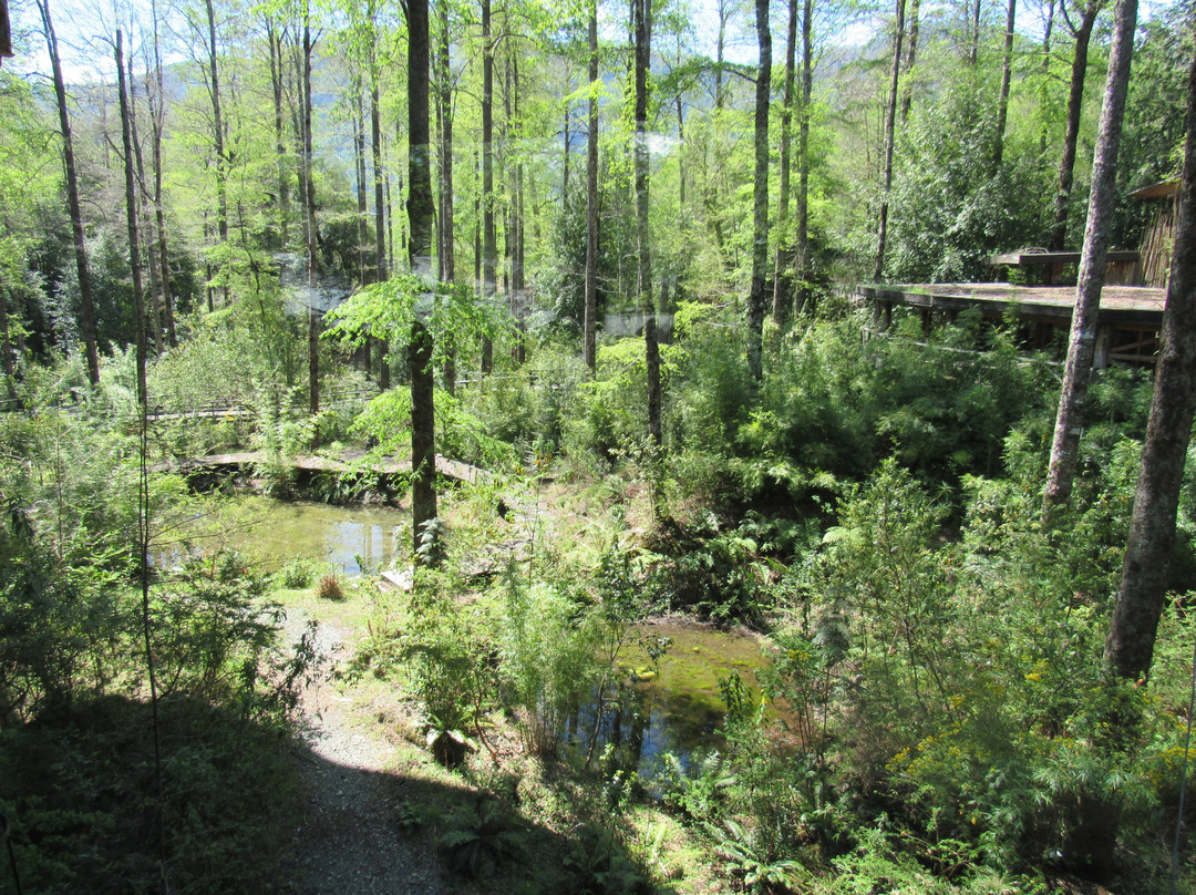 Huilo Huilo Nothofagus Hotel主图