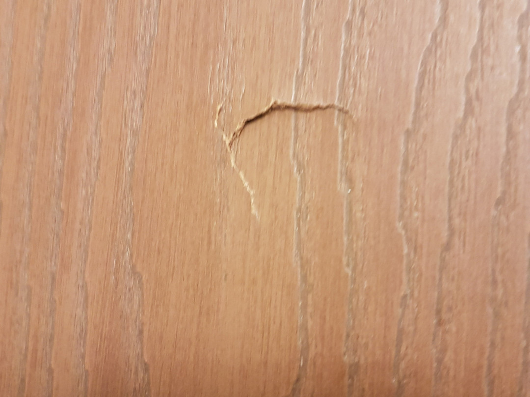 Quality Inn Austintown-Youngstown West主图