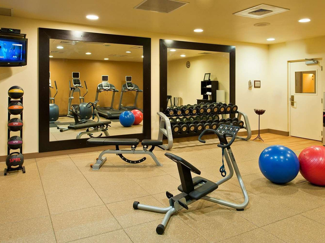 谢尔顿希尔顿花园旅馆主图