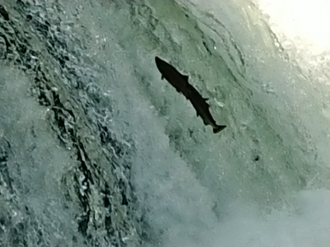 Kanayama Waterfall-标津町必去景点