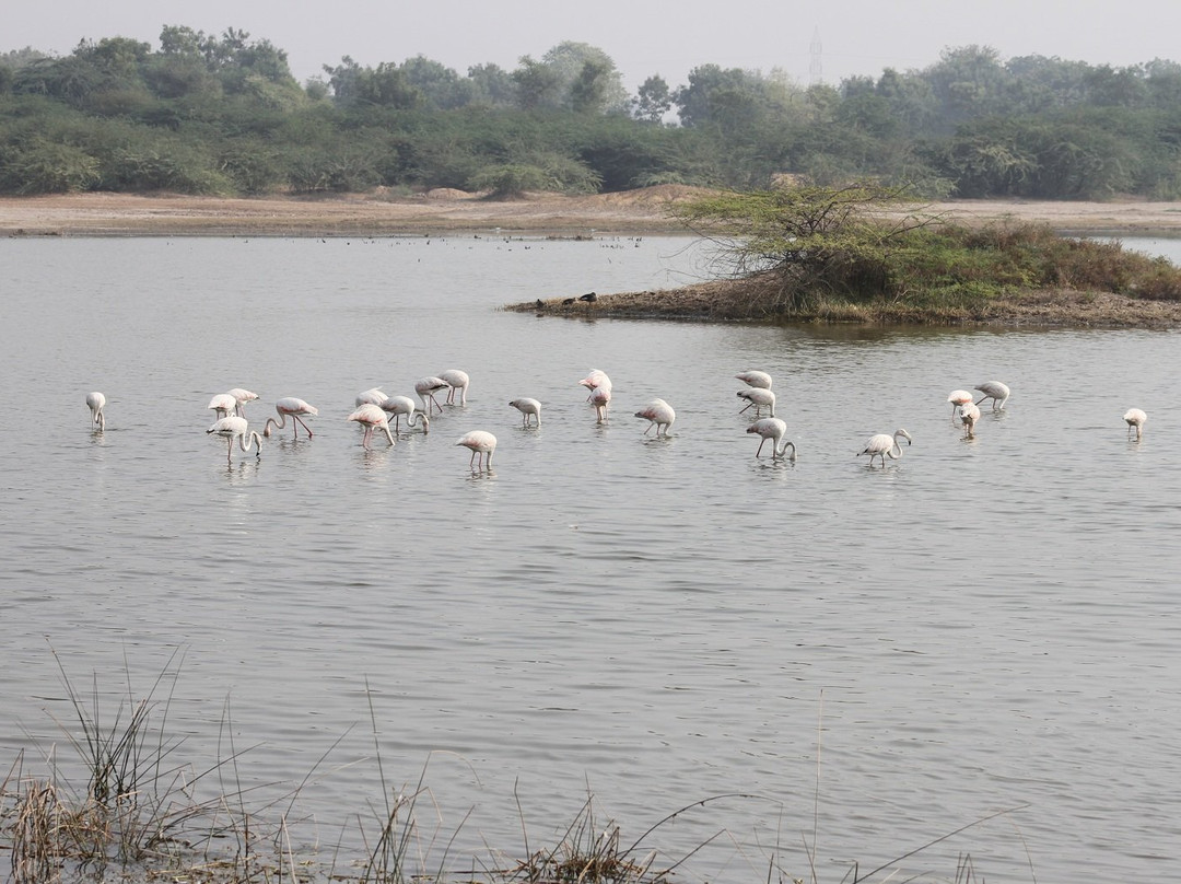 Pariej Lake-Pariyej必去景点