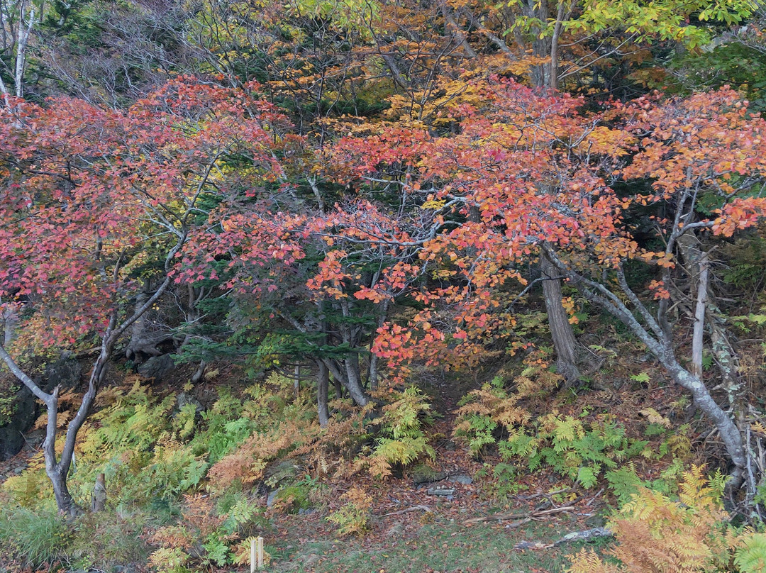 Sounkyo Momojidani-上川町必去景点