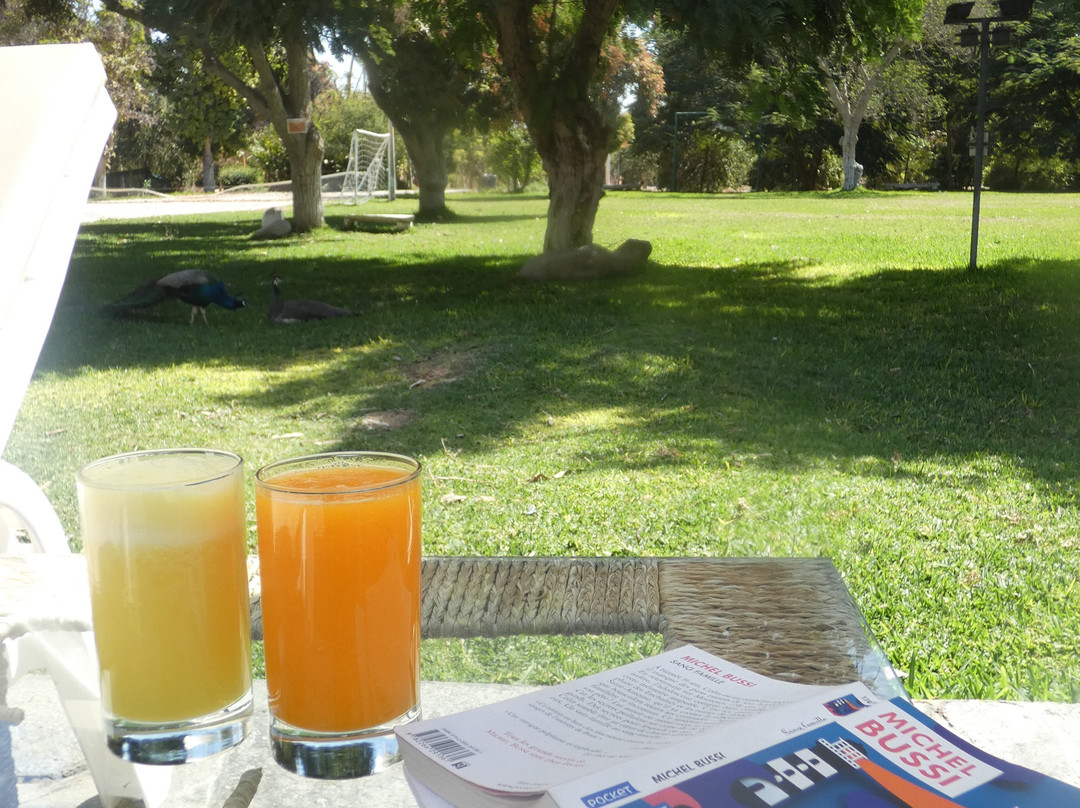 Hacienda Majoro 精品渡假村主图