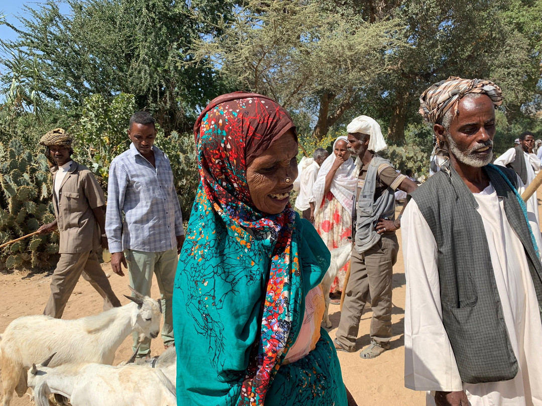 Mariam Dearit Shrine-Keren必去景点