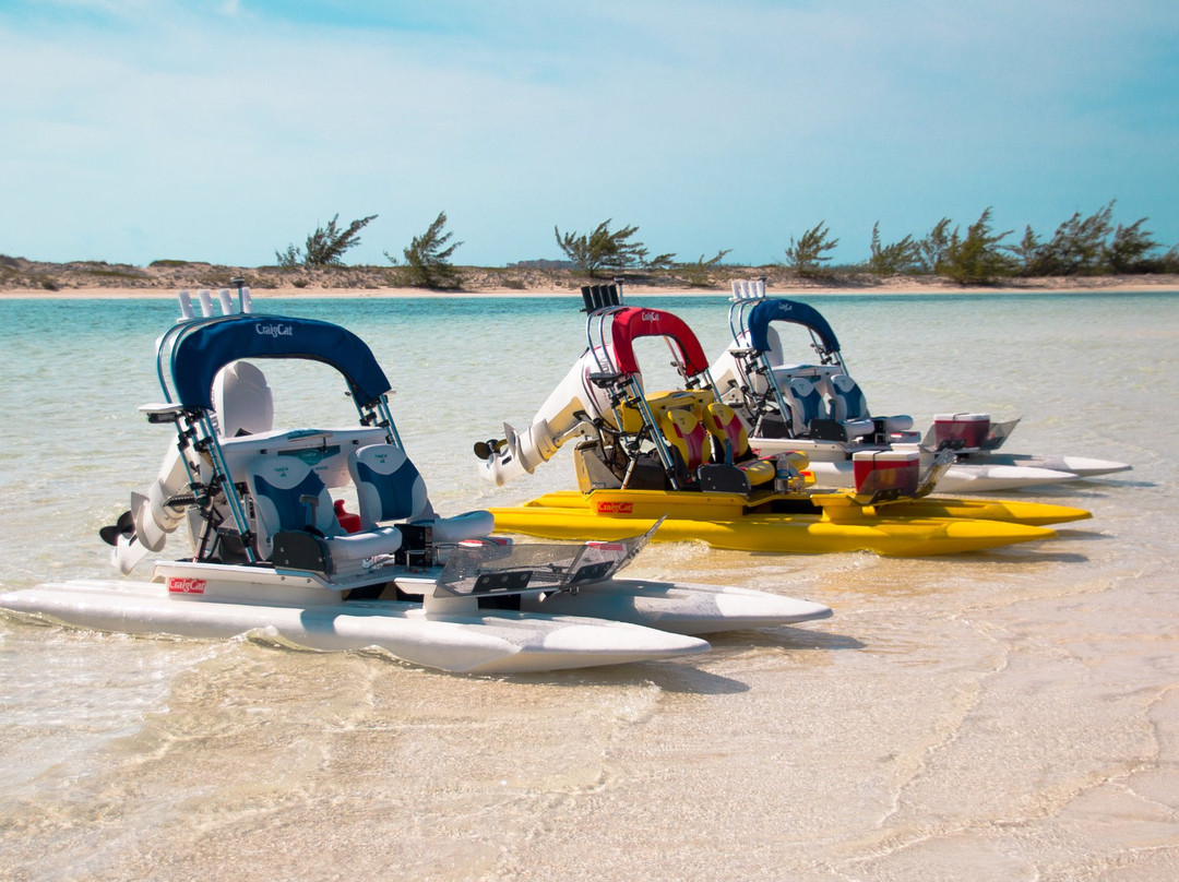 High Wave Tours-普罗维登西亚莱斯必去景点