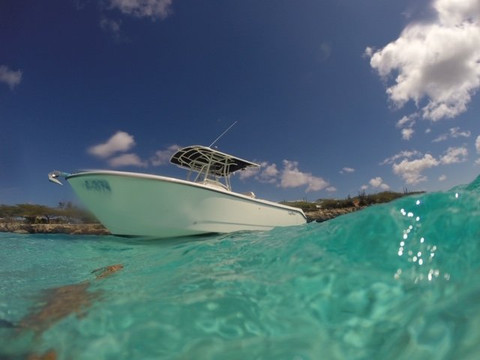 1 Fool and a Boat-棕榈/鹰海滩必去景点