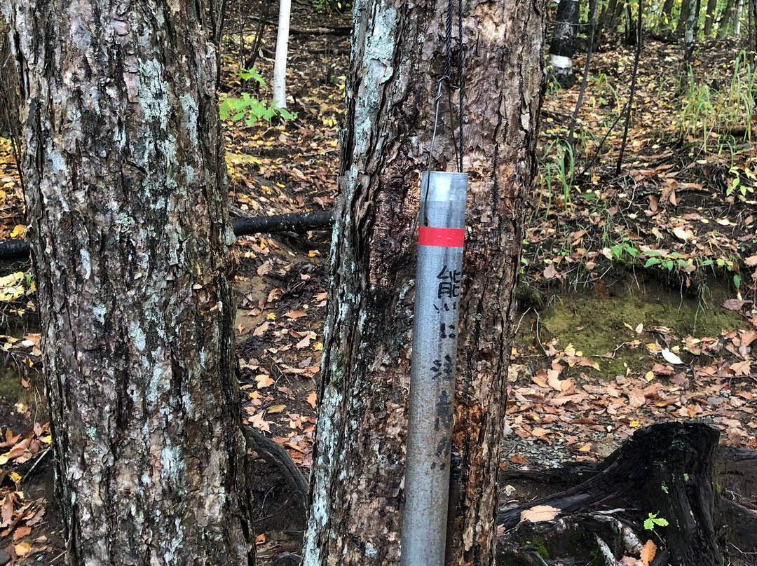 Zengoro Fall-松本市必去景点