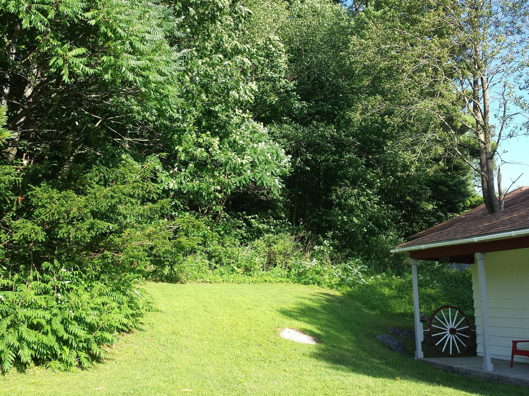 Wagon Wheel Motel主图