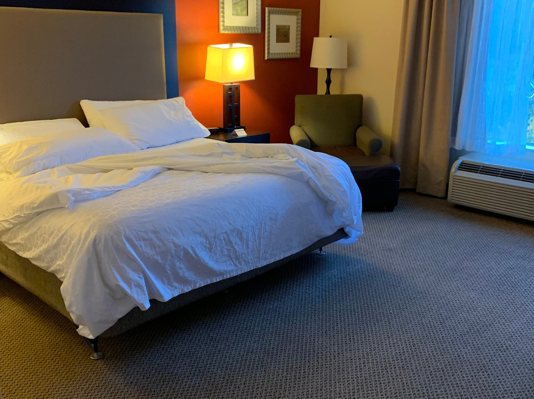 Holiday Inn Express & Suites Kodak East-Sevierville by IHG主图