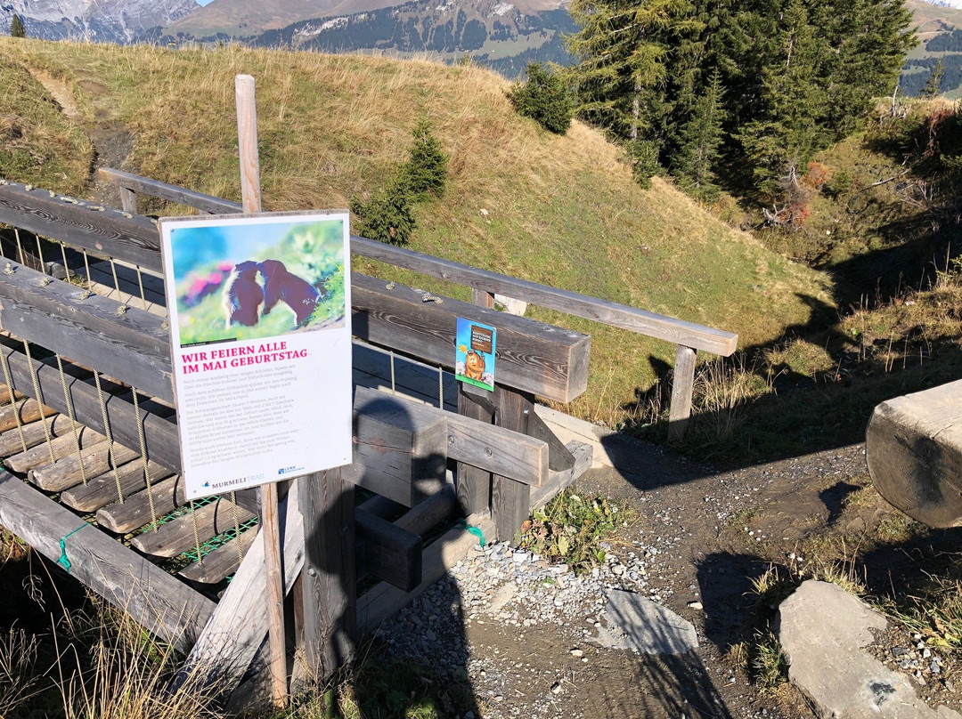 Bergbahnen Lenk景点图片