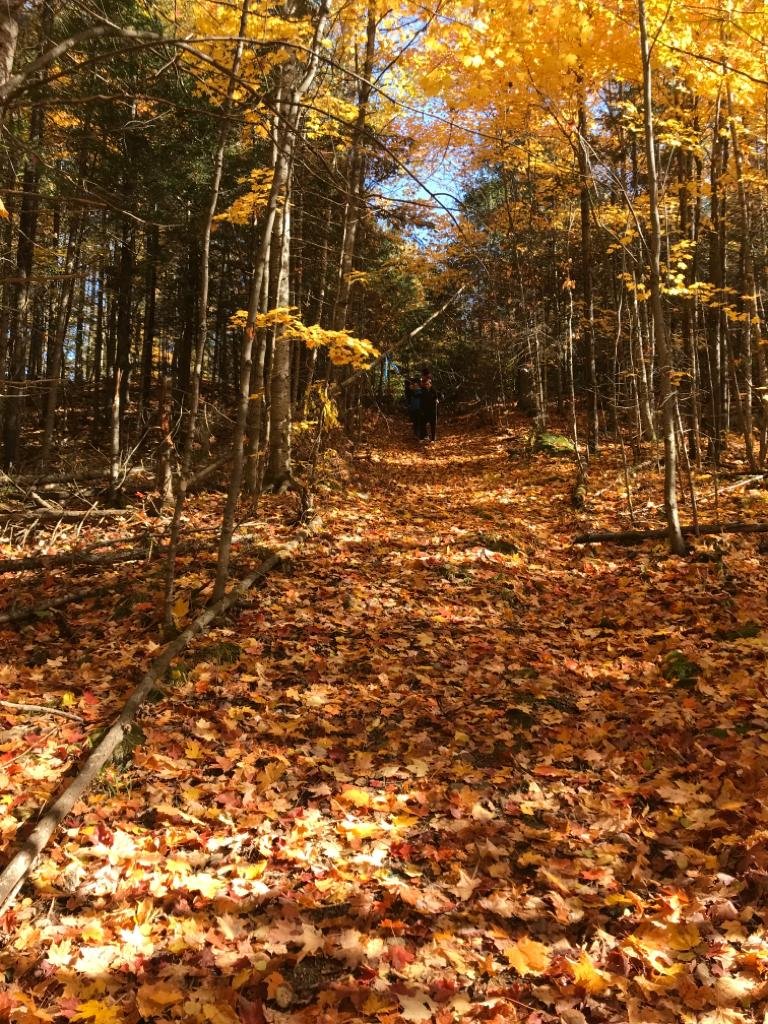 Domaine de la Rivière Perdue-官方