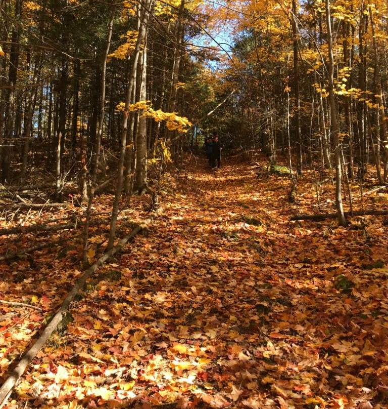 Domaine de la Rivière Perdue主图