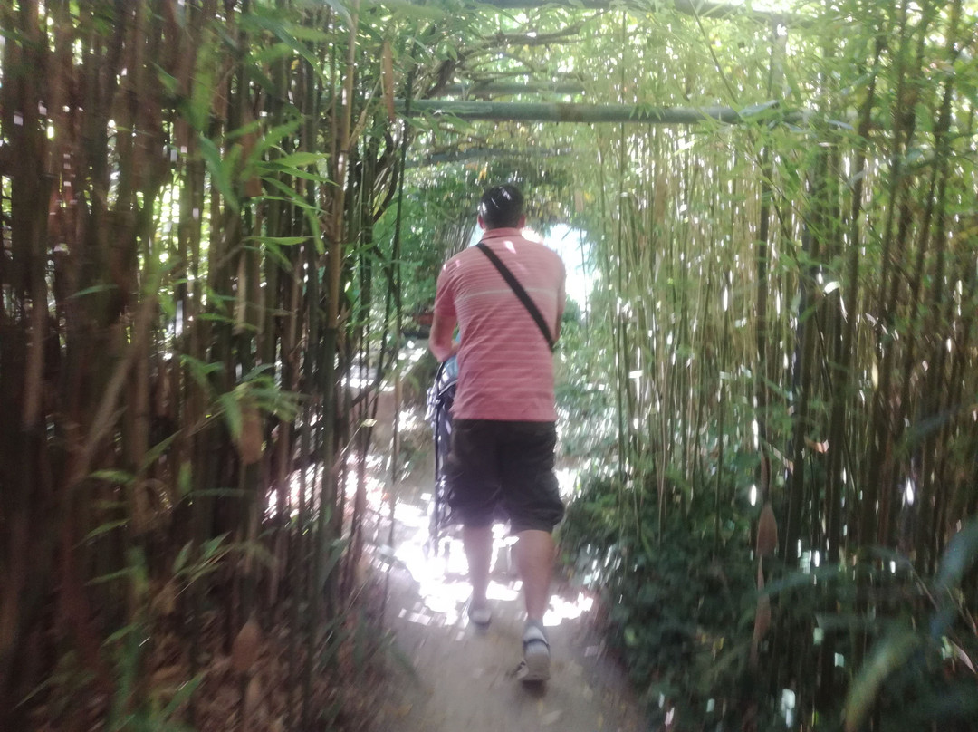 Tropicarium Bonsaï景点图片