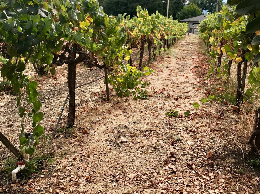 La Rochelle Winery景点图片