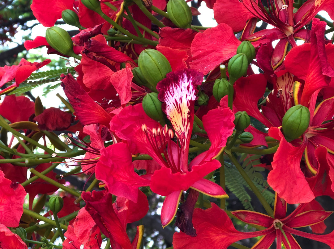 Ocotlán de Morelos旅游景点-Fundación Cultural Rodolfo Morales