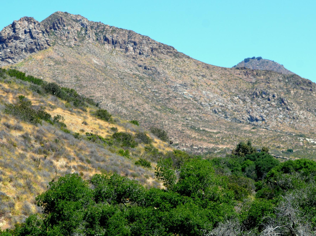 Cerro El Coronel景点图片