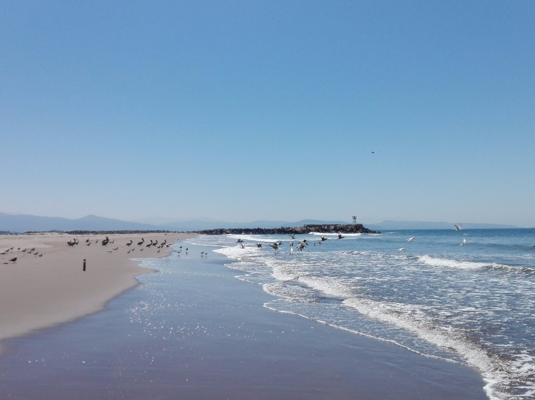 Playa del Rey景点图片