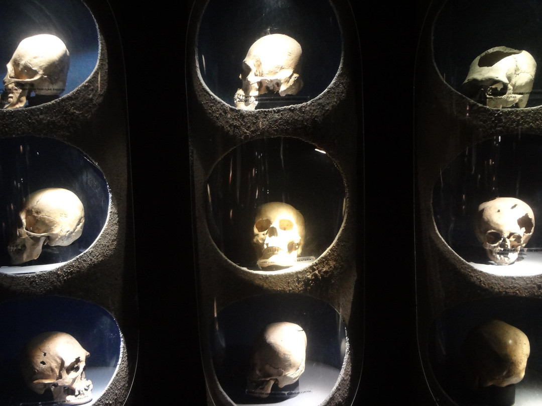 Museo de Arqueología Ganot-Peschard-Durango必去景点