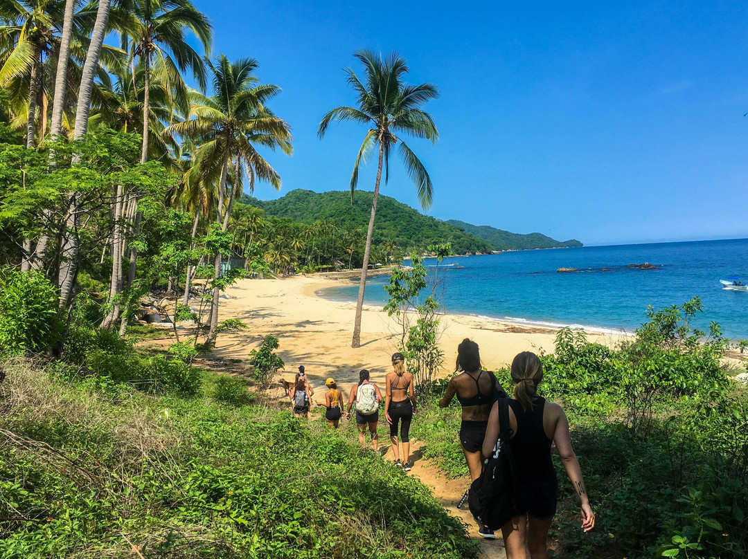 Puerto Vallarta Activities by My Deztination