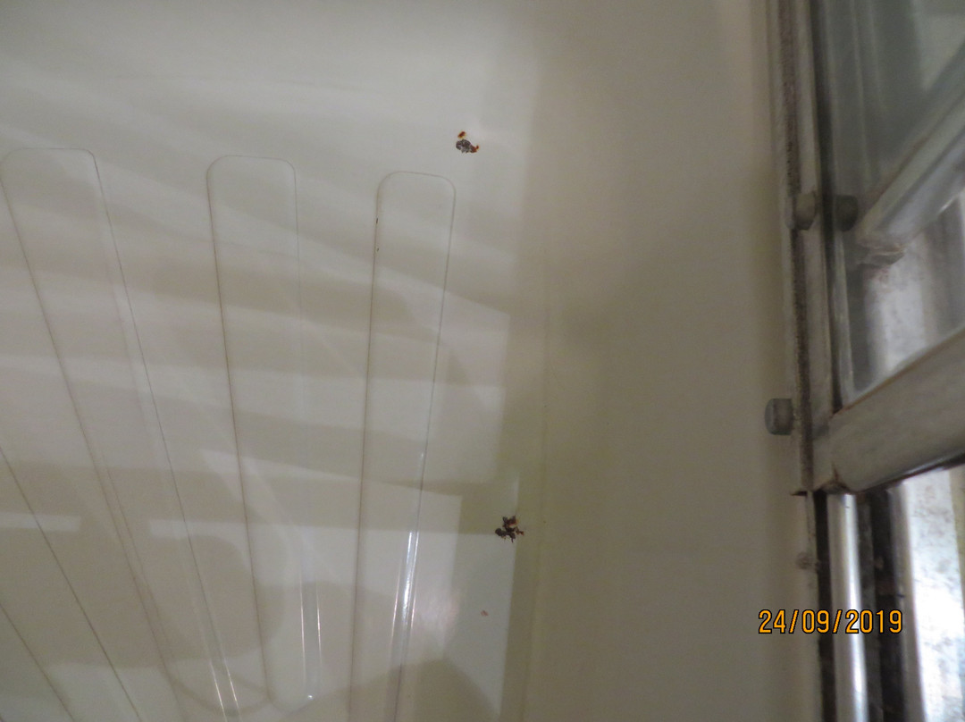 Rezydencja Waksman主图