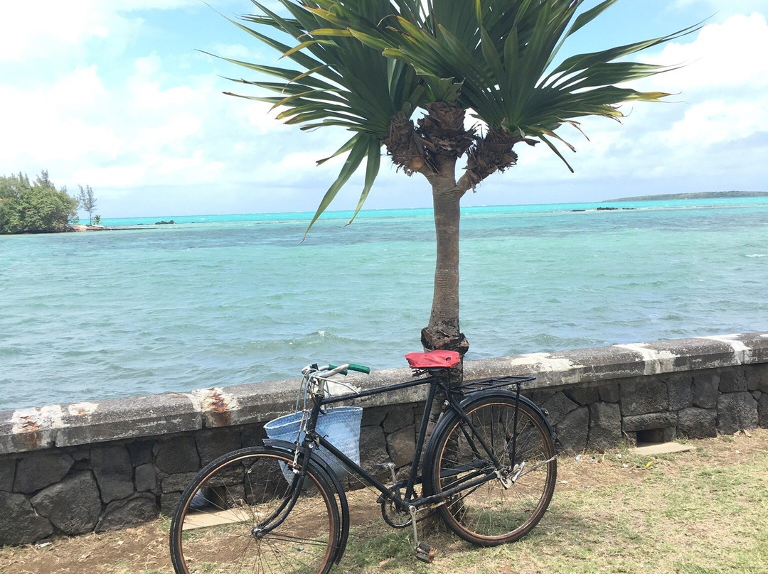 Mahebourg Waterfront-马喜埔必去景点
