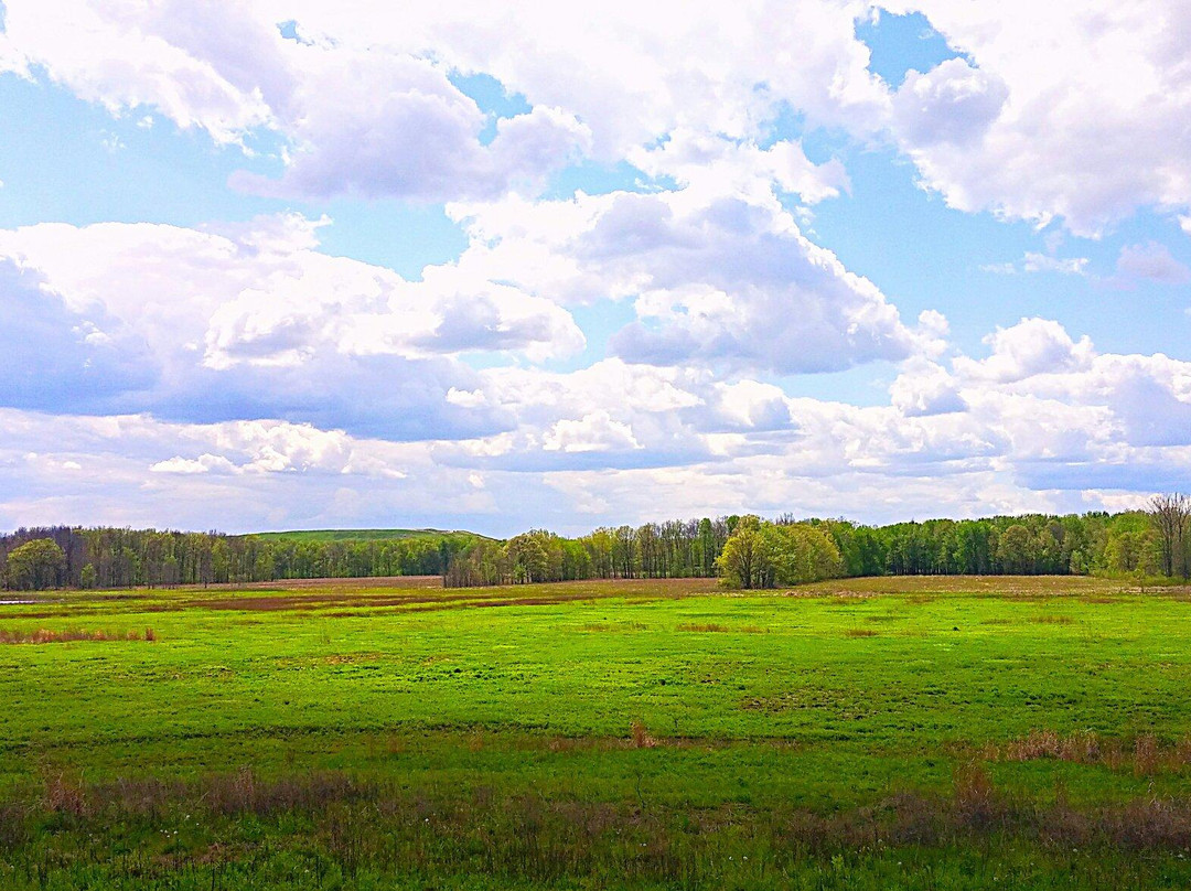 Seneca Meadows Wetlands Preserve景点图片