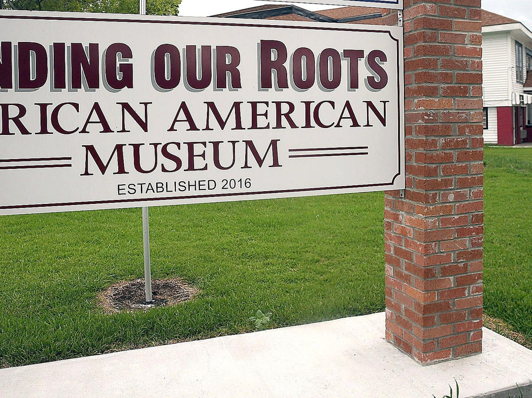 Finding Our Roots African American Museum景点图片