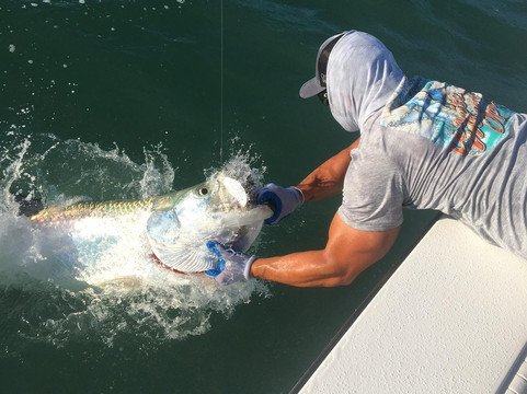 Fin & Fowl Fishing Charters