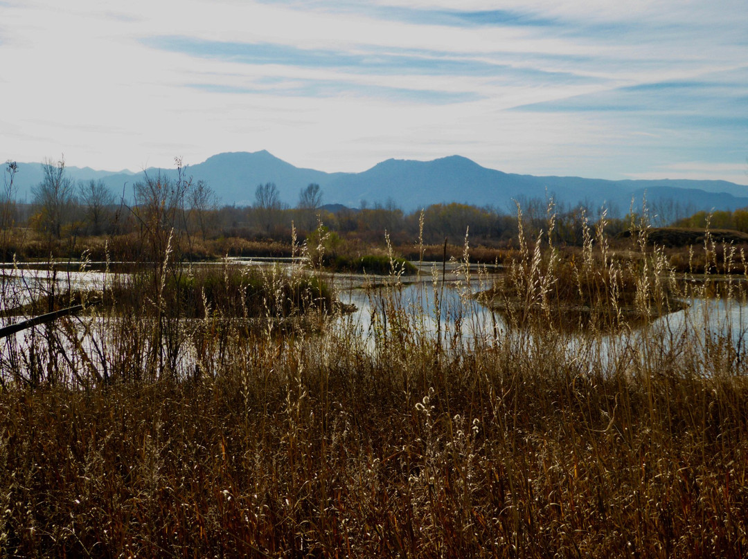 Two Ponds National Wildlife Refuge景点图片