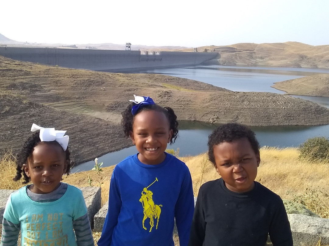 Tour Guide Cafe-弗雷斯诺必去景点