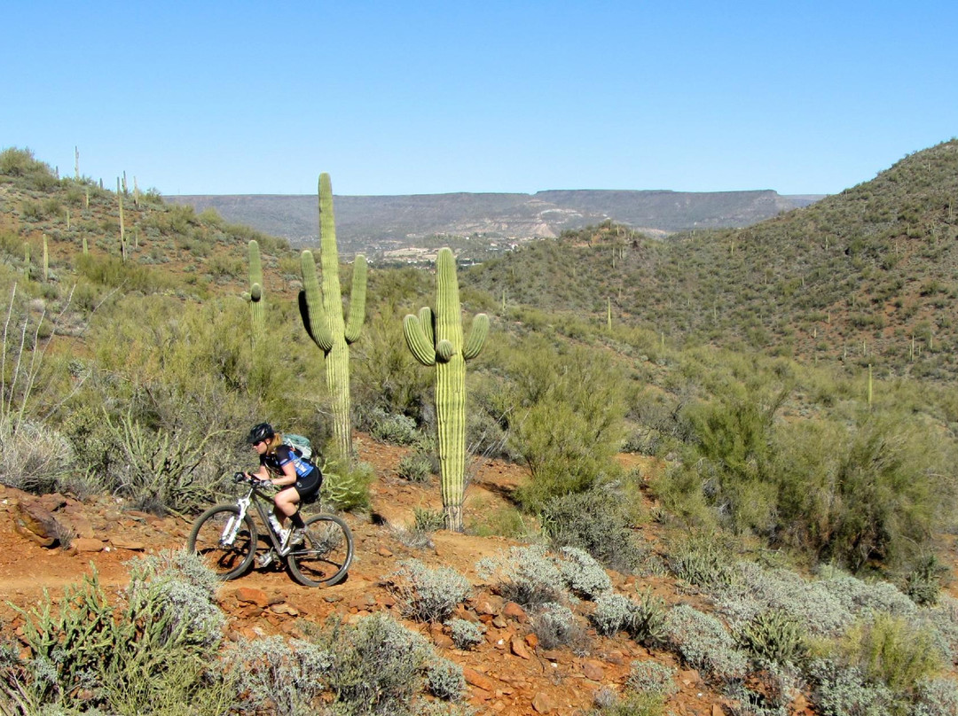 Spur Cross Cycles-洞溪必去景点