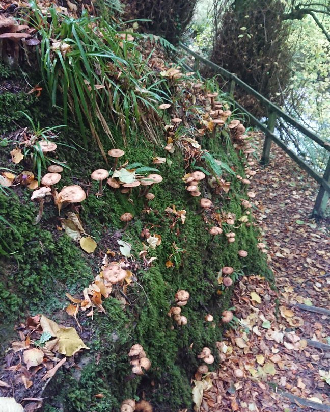 Ballaglass Glen-Maughold必去景点