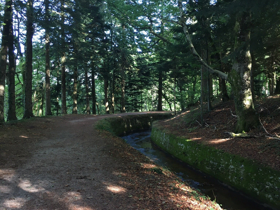 Rigole de la Montagne景点图片