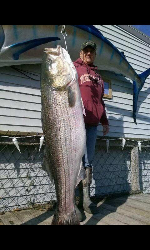 Cape Charles Fishing Adventure景点图片