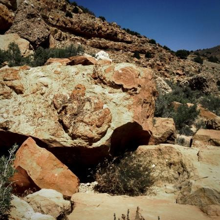 Dinosaur Footprint Parowan Gap景点图片