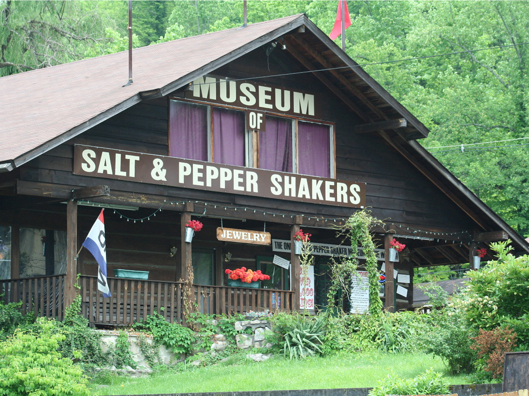 Salt and Pepper Shaker Museum景点图片