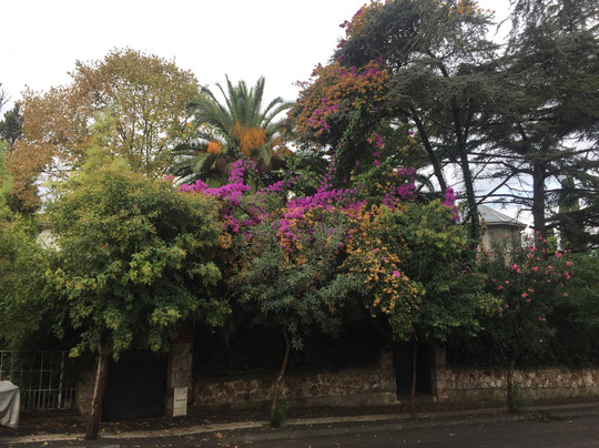 Nizam Butik Hotel Cafe & Rstaurant主图