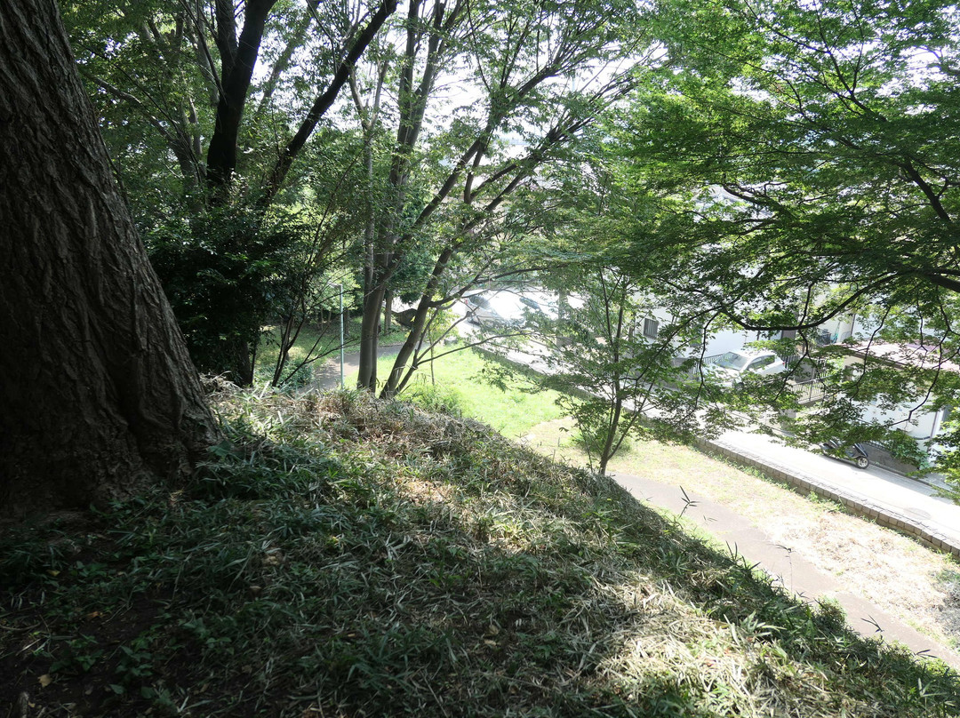 Otsuka Kofun-秋留野市必去景点