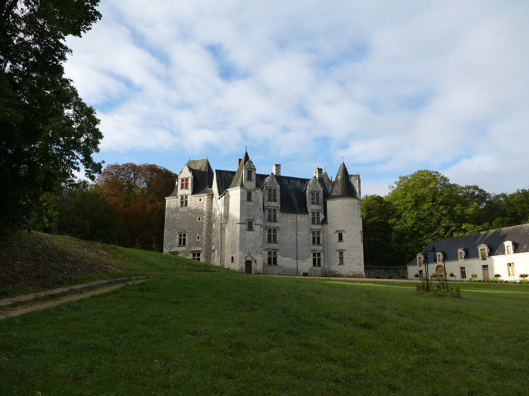 Chateau des Bretignolles景点图片