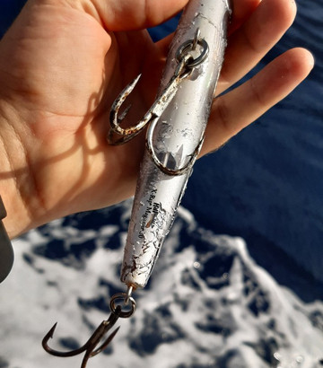 TAMBO Fishing-洛斯·吉甘特斯必去景点