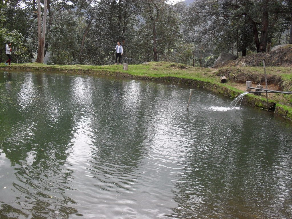 Parque Ecologico Jerico景点图片