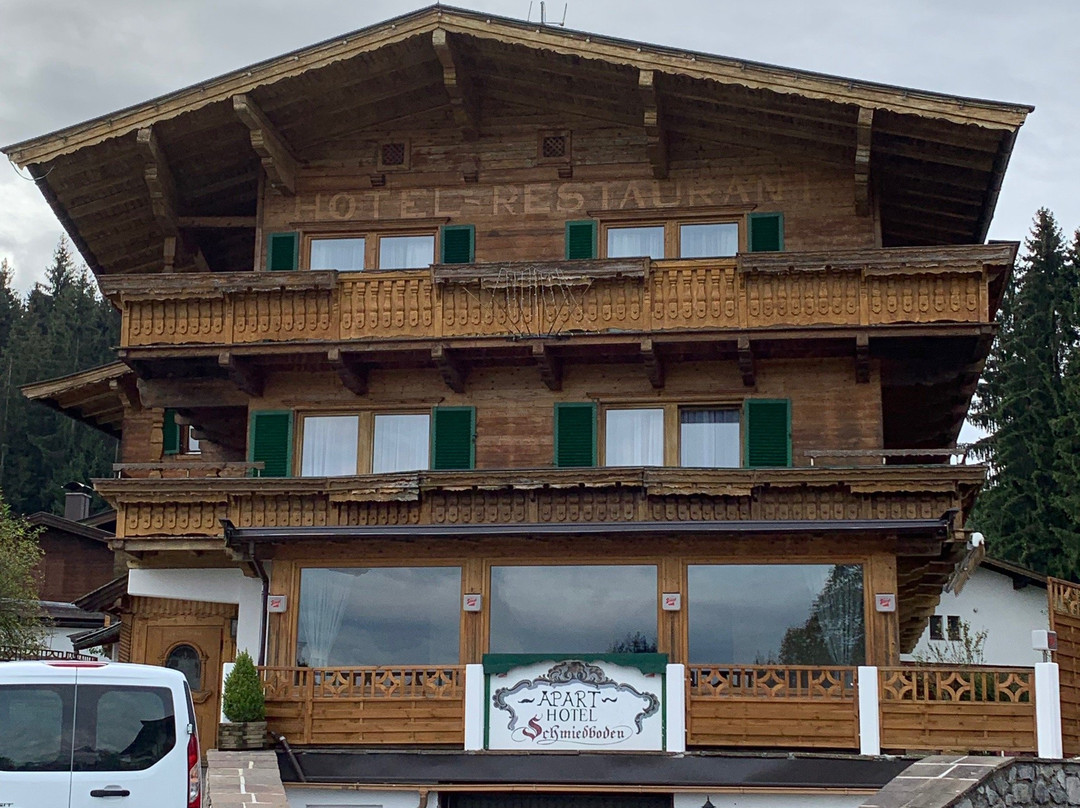 Aparthotel Schmiedboden主图