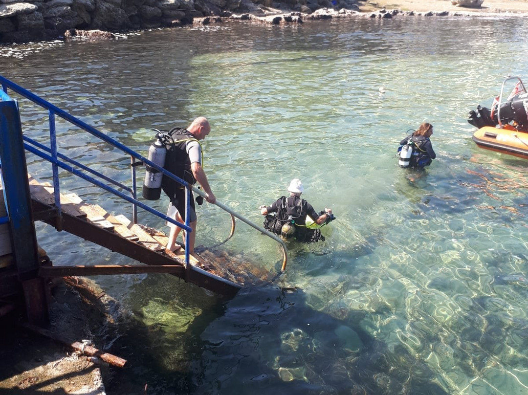 Cyprus Underwater Explorers景点图片