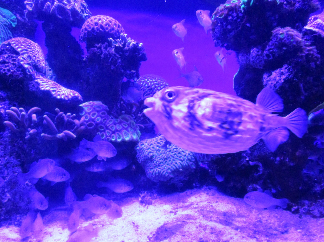 Nautica Residences Hillarys主图