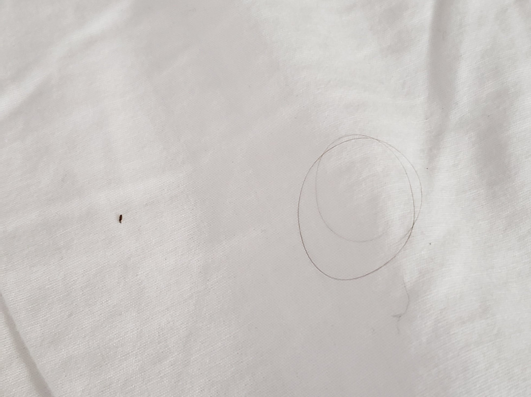 Super 8 by Wyndham Monteagle TN主图