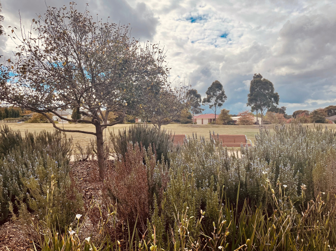 The Village Green Playground景点图片