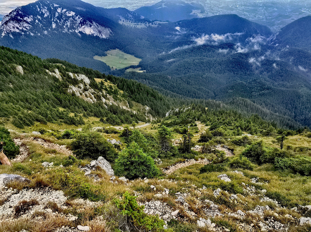 Piatra Craiului National Park景点图片