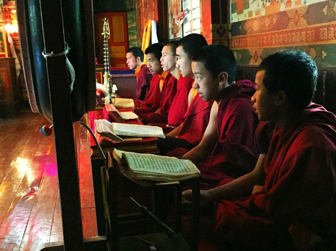 YogDaan Yoga-大吉岭必去景点
