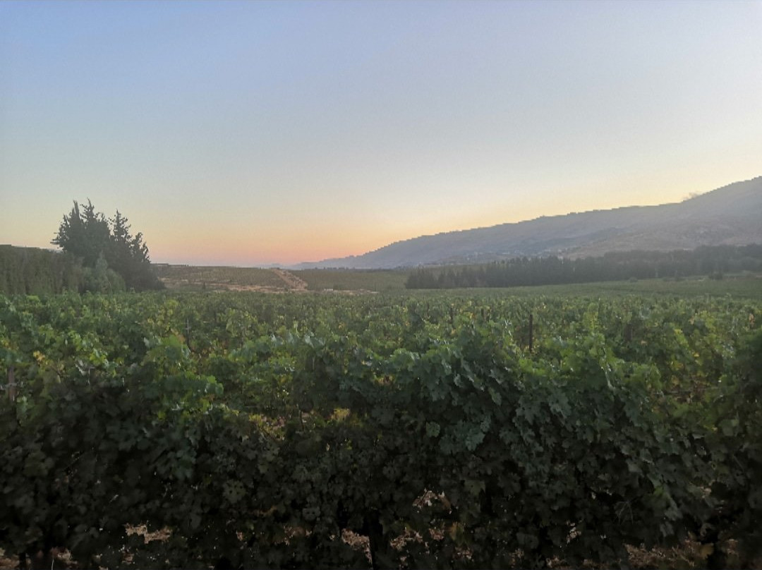 Chateau Kefraya-Kafraiya必去景点