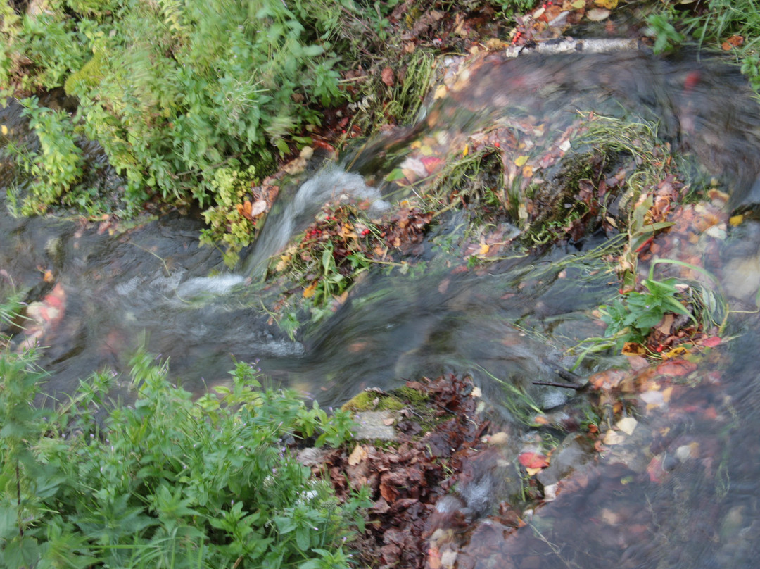 12 Sacred Springs-Sviridovo必去景点